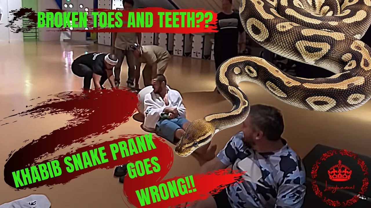 Did KHABIB break his toes and nearly his teeth from a SNAKE prank by his team mates that went wrong?