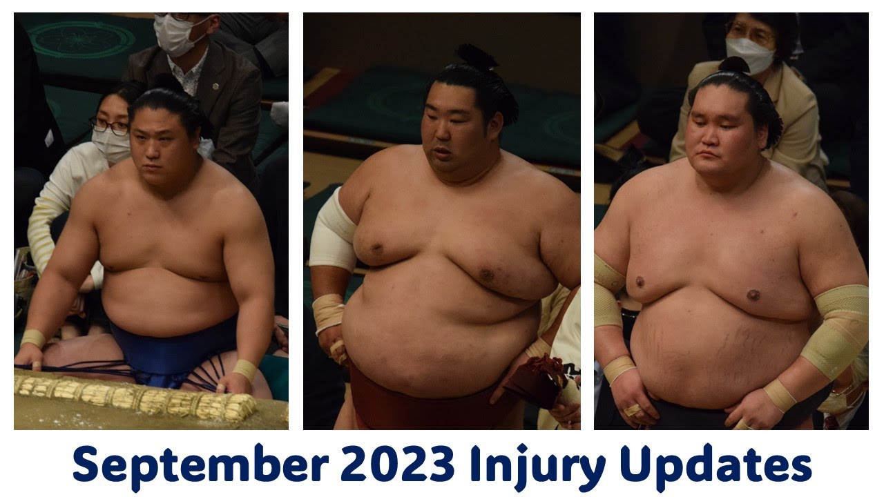 When will Terunofuji & co be back? Has Tokushoryu retired? background