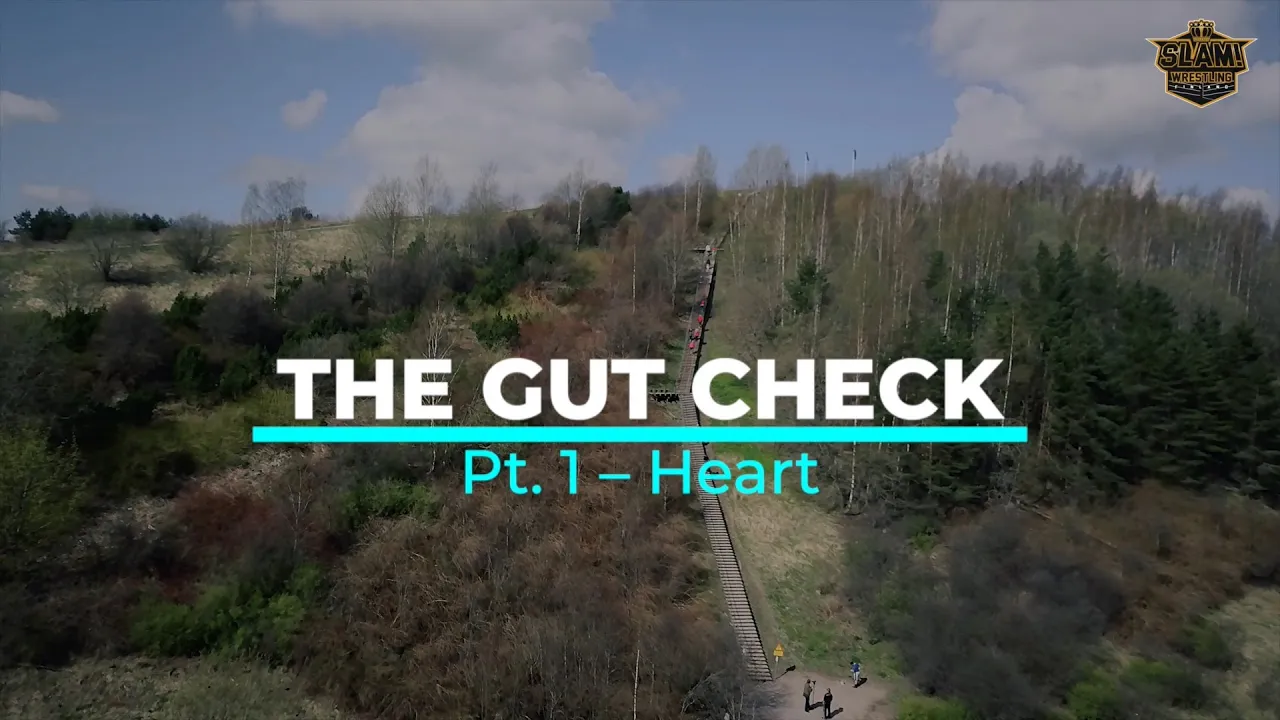 The Gut Check: Heart (Part 1) background