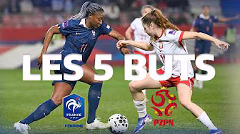 法国对阵波兰（世界杯预选赛）的5个进球