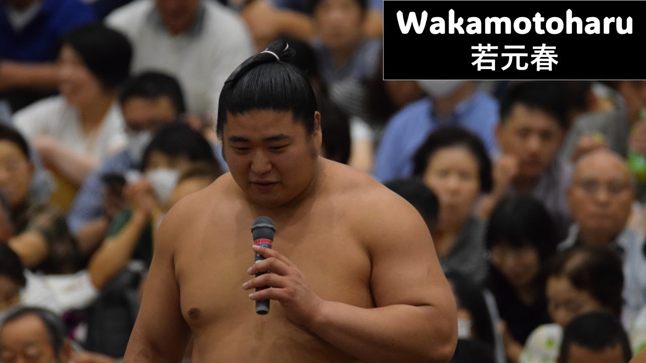 Wakamotoharu: Sumo's new fan favorite (Exclusive footage) 相撲特集 : 人気急増中の若元春 background