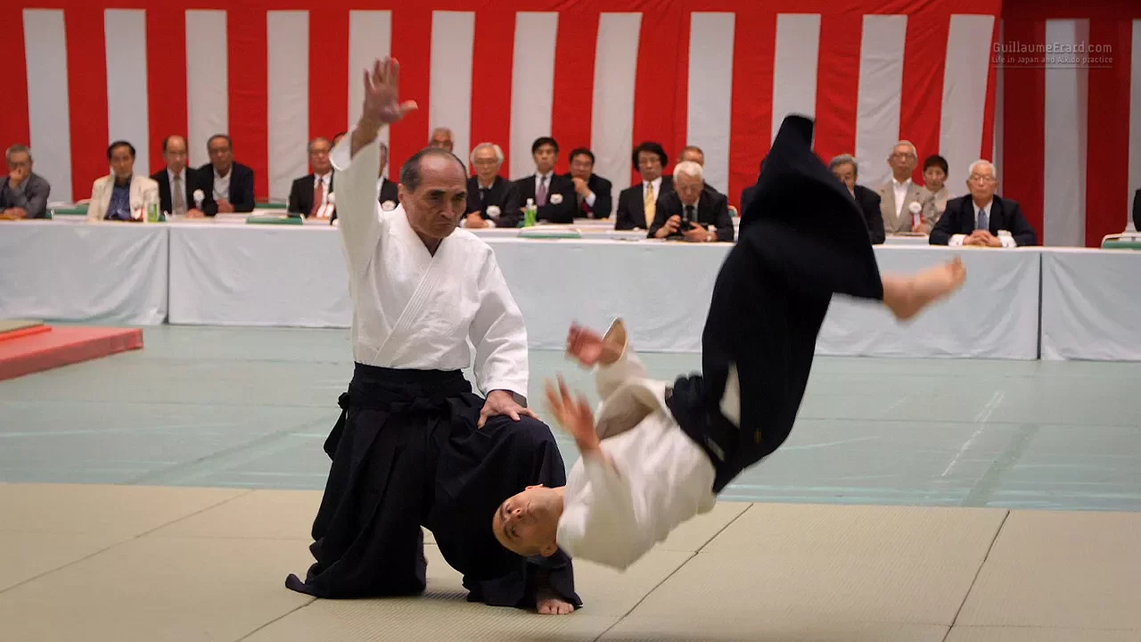 Aikido - Tada Hiroshi Shihan - 55th All Japan Aikido Demonstration 2017
