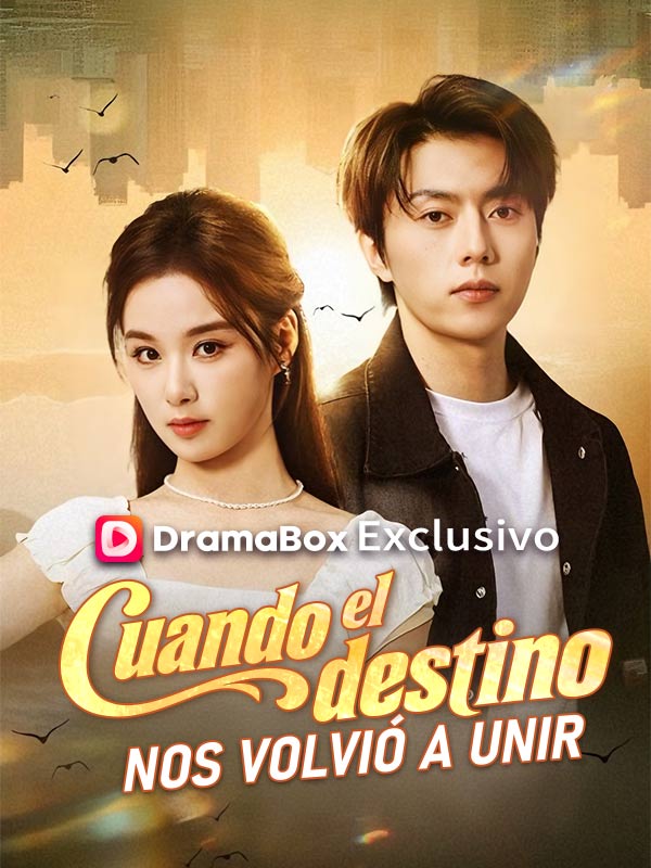 Cuando el destino nos volvió a unir poster