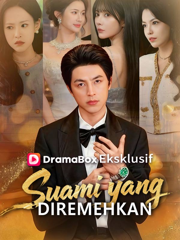 Suami yang Diremehkan poster