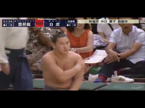 Hoshoryu 豊昇龍 v Byakko 16 September 2018 Day 8 background