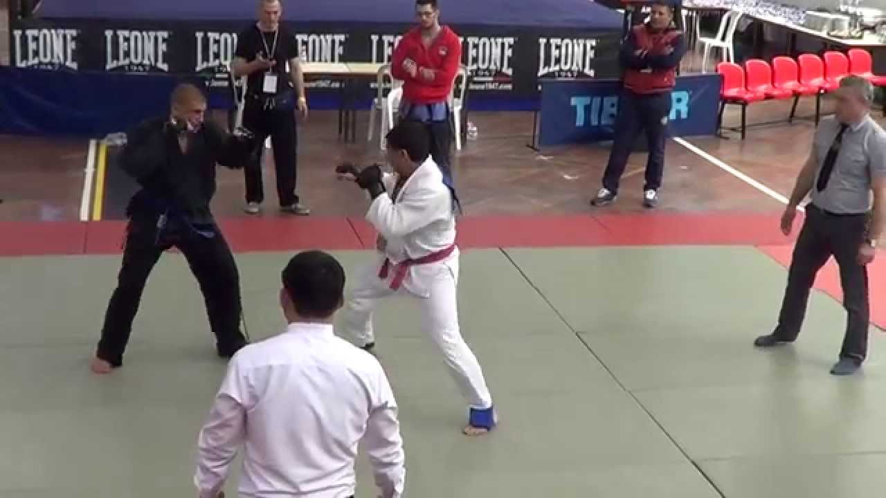 WAC 2014 Szücs Gergő, Ju-jutsu Full Contact