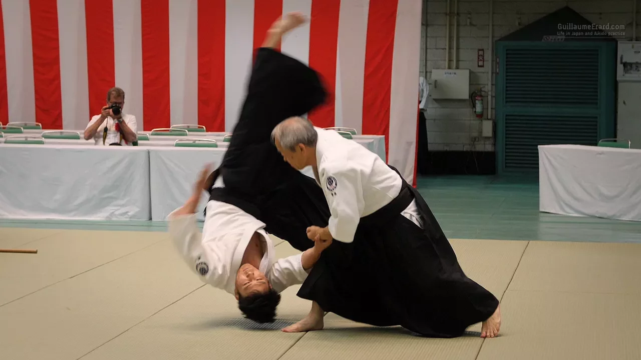 Aikido - Shirakawa Katsutoshi Shihan - 55th All Japan Aikido Demonstration 2017