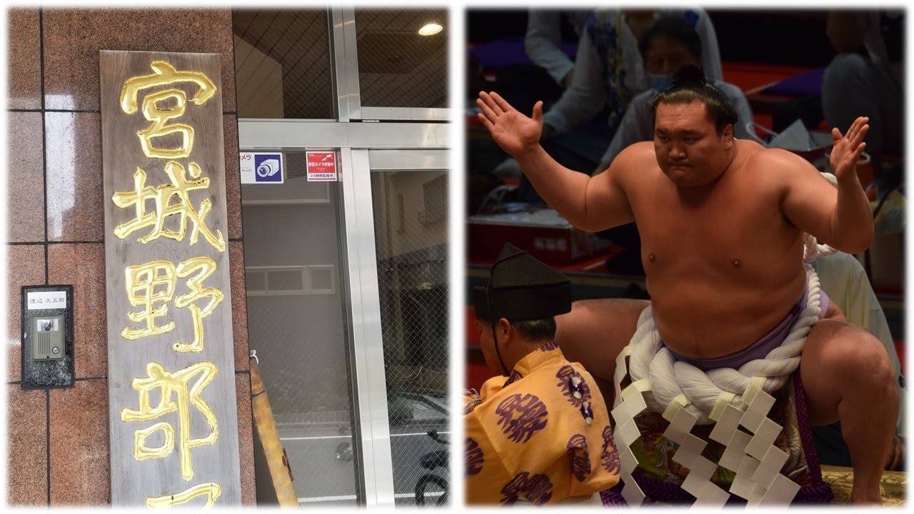 Ex-Hakuho's new start + other sumo news (Aug 22nd) background