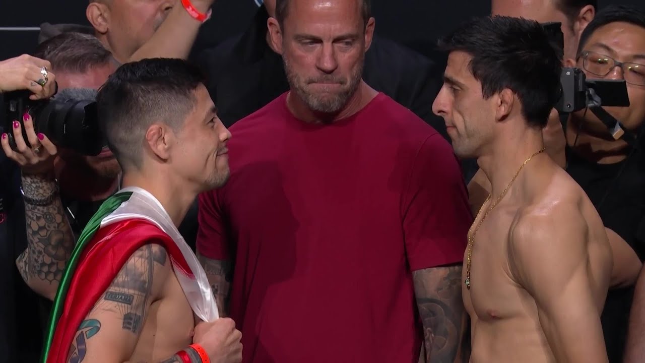 UFC Мехико: Битвы взглядов