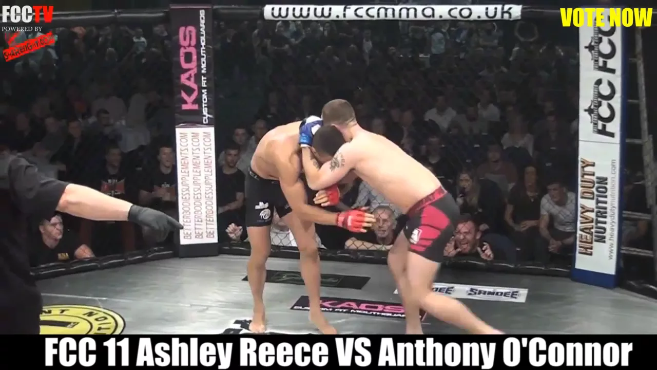 FCC FIGHT OF THE YEAR 2014 background