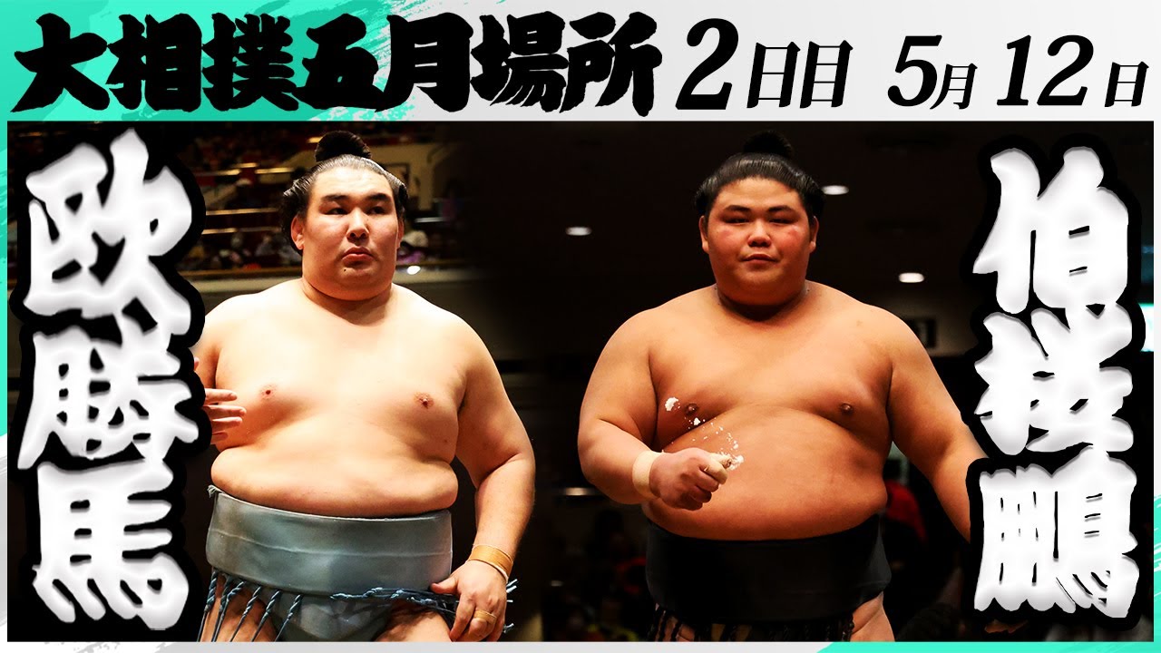 大相撲 欧勝馬ー伯桜鵬<令和7年五月場所・2日目>SUMO