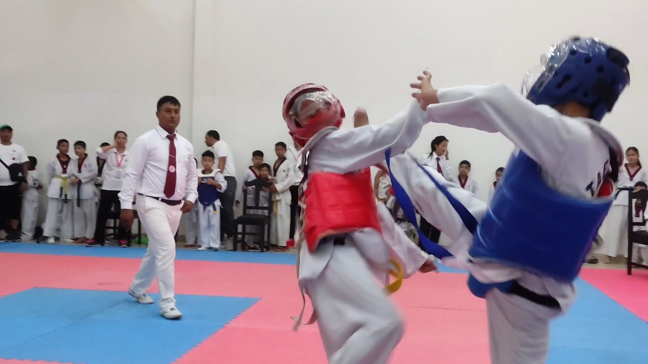 Tkd Fight 2023 || Taekwondo sparring tournament 2023
