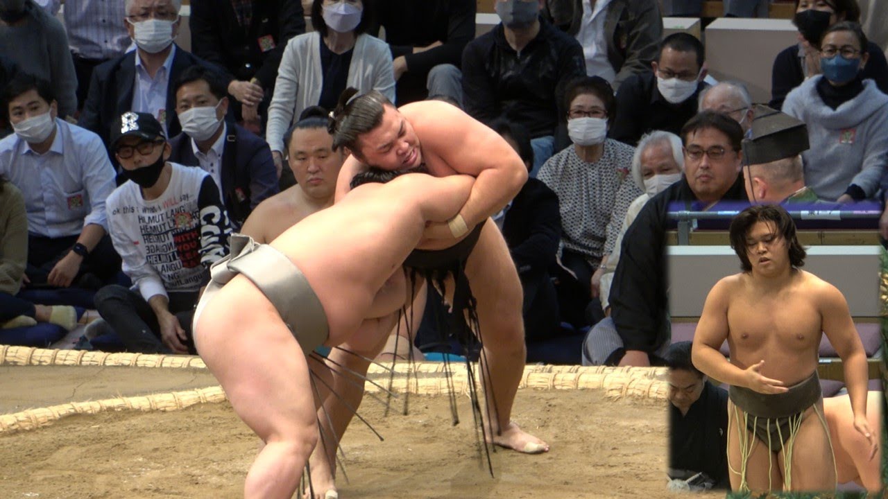 Nov 2022 Sumo, Day 2: Young stars impress backdrop