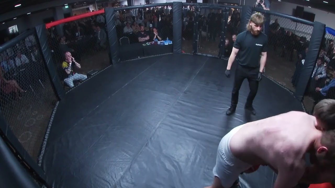HULL | ULTRA MMA | DAN BUTTLE VS FABIAN background