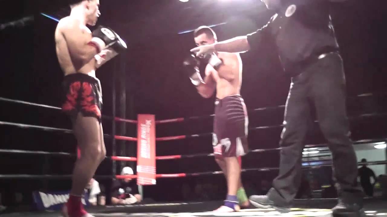 Iron Fist Gym Vienna vs. Fox Gym - Mix Fight Night 22.01.2011 backdrop