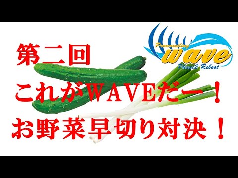 第二回:これがwaveだー!お野菜早切り対決! background