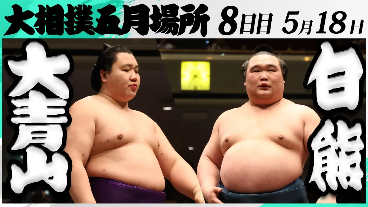 大相撲 大青山(荒汐部屋)ー白熊(二所ノ関部屋)<令和7年五月場所・8日目>SUMO