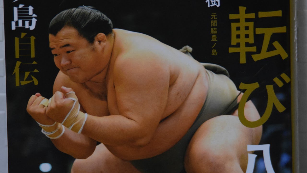 Toyonoshima book: 10 things we learned background