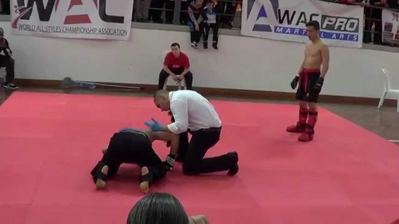 WAC 2014 Budai Richárd Knock Down 1. fight background