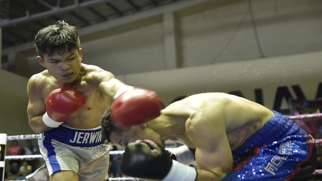 Jerwin Ancajas - Highlights / Knockouts