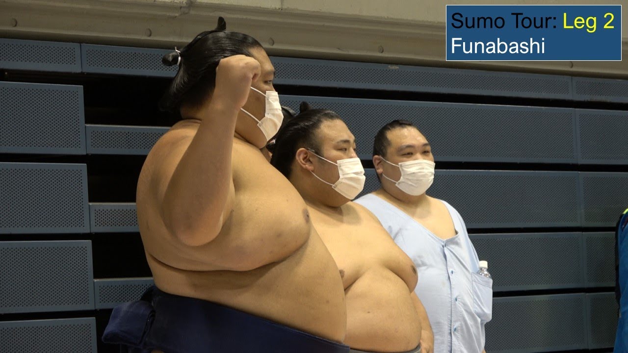 Sumo Tour #2: Funabashi backdrop