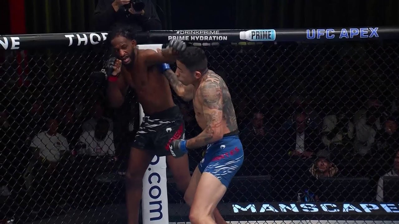 Лучшие моменты турнира UFC Вегас 100 background