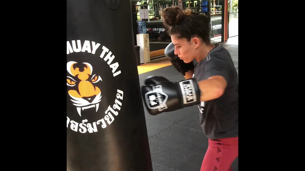 Boxing Class Bagwork: Combinations & Counters @ Tiger Muay Thai background