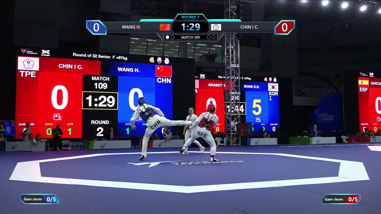 109 Round of 32 F +67kg CHN WANG H TPE CHIN I C PGM background
