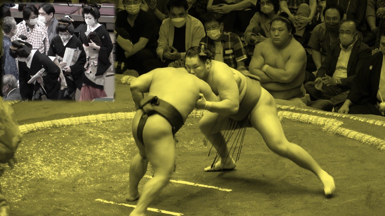 Sep 2022, Day 7: Major sumo rivalries background
