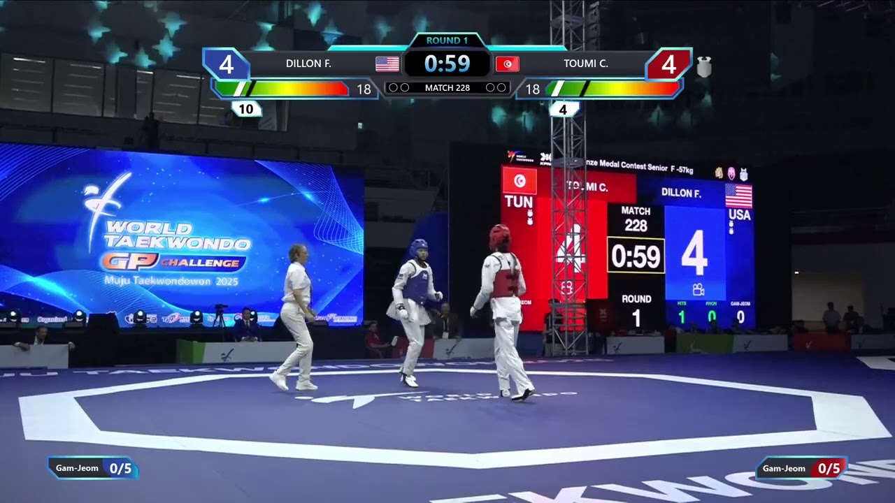 228 Bronze Medal Contest F 57kg USA DILLON F TUN TOUMI C PGM background