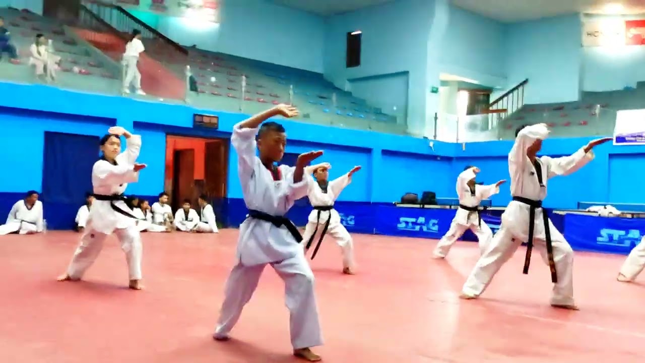 Taekwondo - 2nd Dan Black Belt Basic Training background