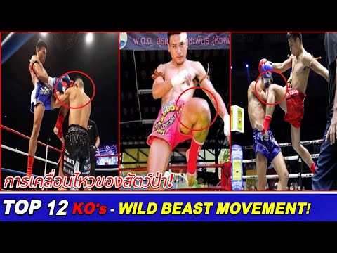 Jawsuayai Sor.Dechaphan จ้าวเสือใหญ่ ► Top 12 Best Knockout Highlights.