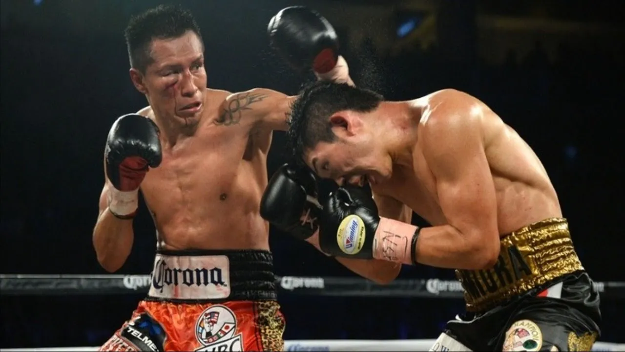 Francisco Vargas - Highlights / Knockouts