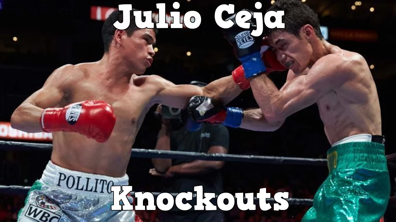 Julio Ceja - Highlights / Knockouts background