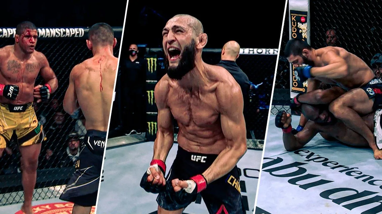 Все бои Хамзата Чимаева в UFC background