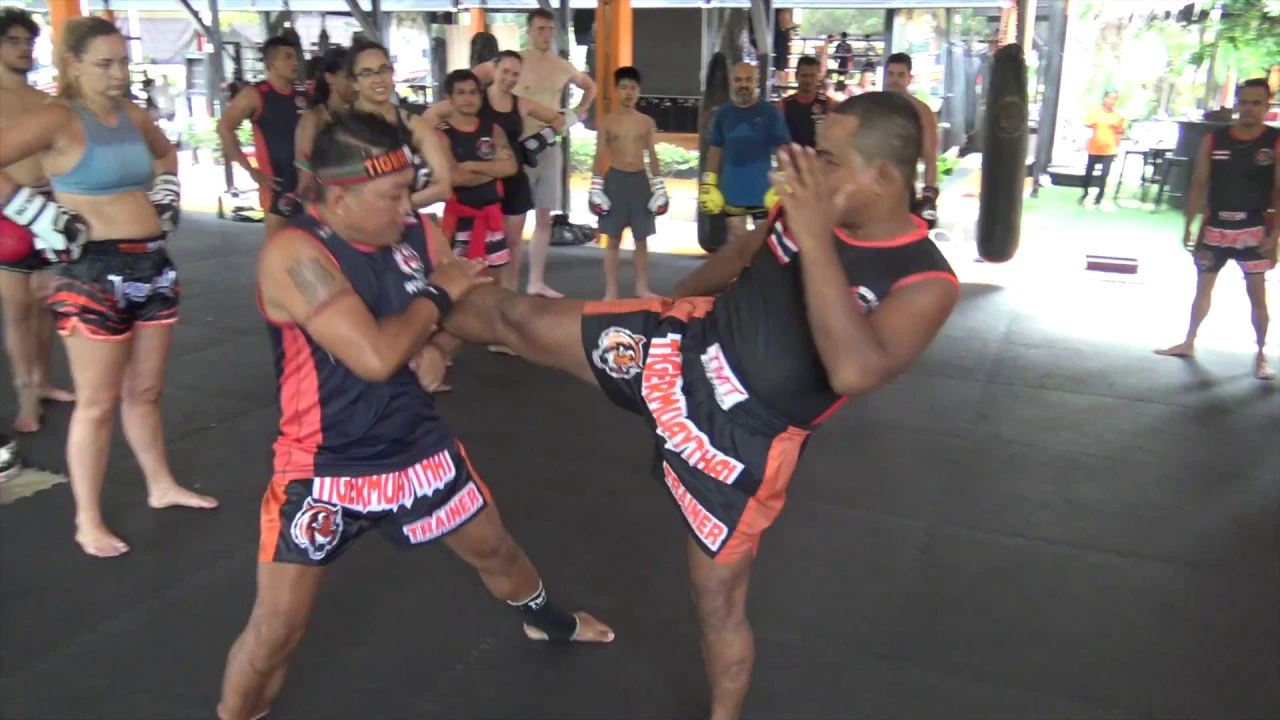 Muay Thai Technique: Catch body kick, swing leg, counter with body kick