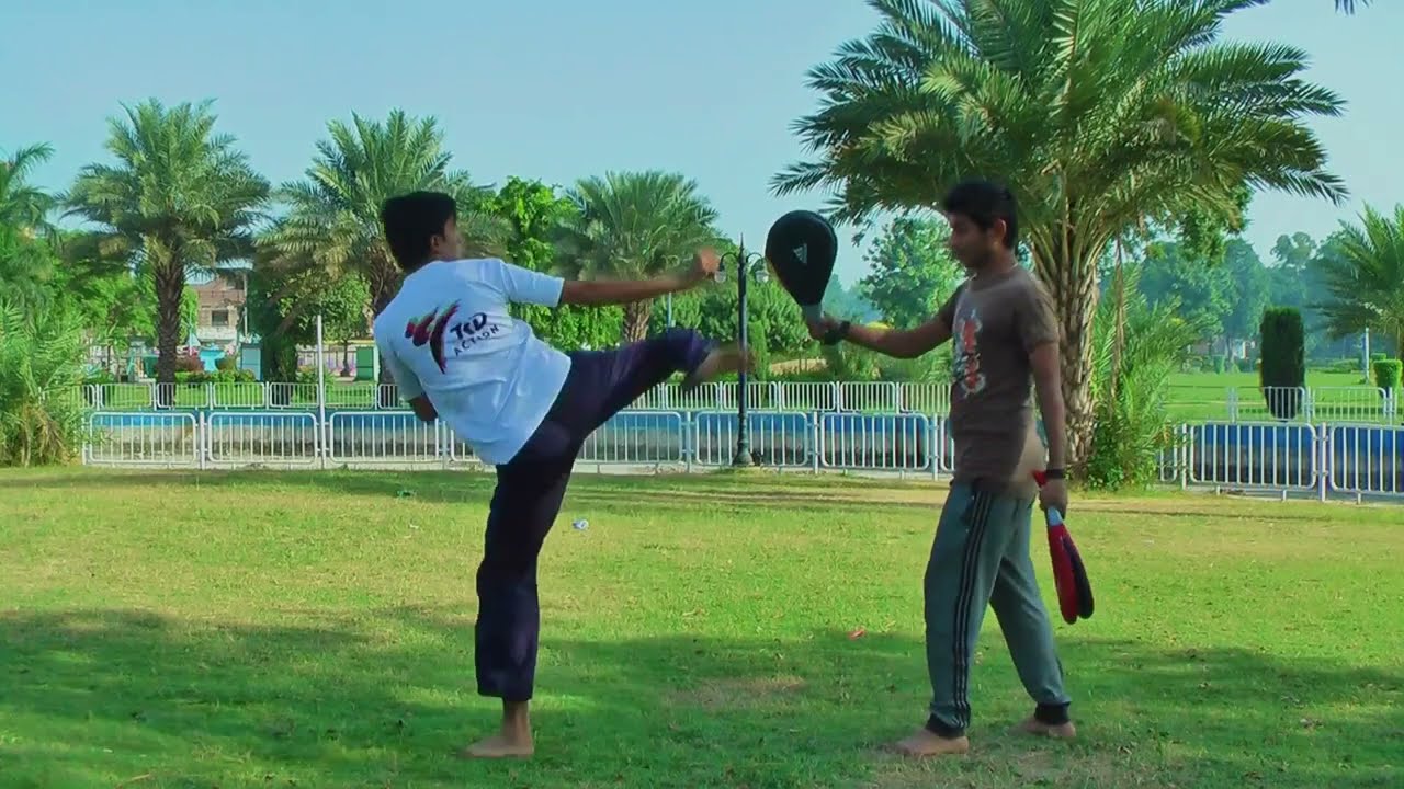 Taekwondo Combo Kicks Training Tutorial