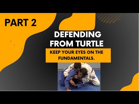 Defending from Turtle (Part 2 of the complete seminar) background