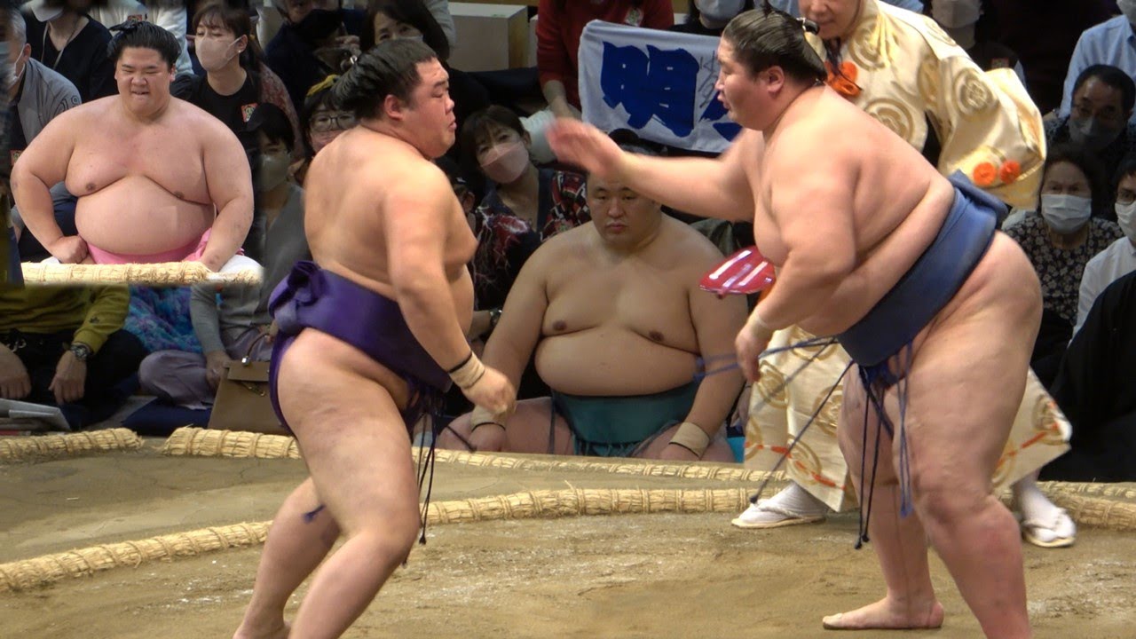 Nov 2022 Sumo, Day 7: Don't you dare retreat! background