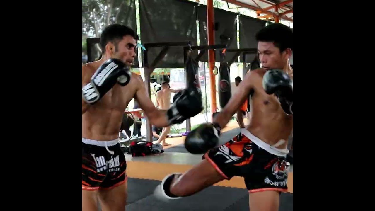 Yodkhunpon 🇹🇭 and Javad 🇮🇷 sparring @ Tiger Muay Thai