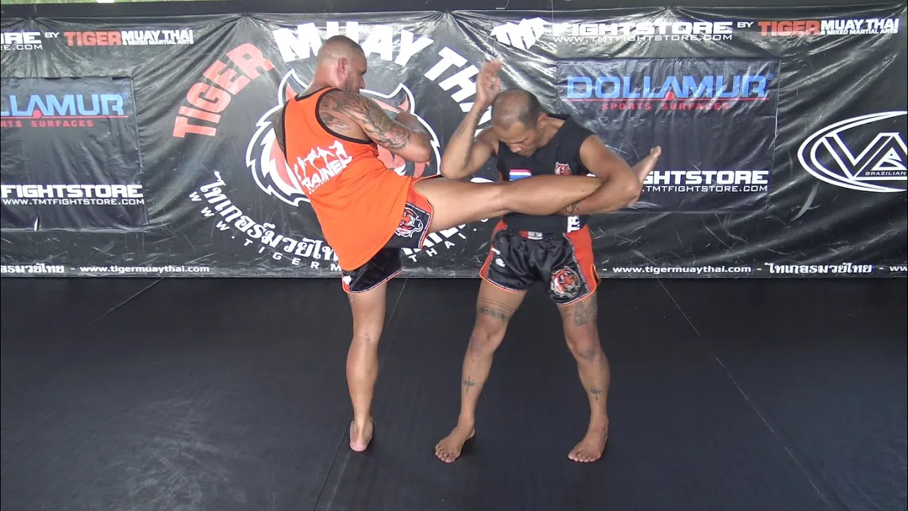 Mae Mai Muay Boran Technique: Hak Nguang Aiyara background
