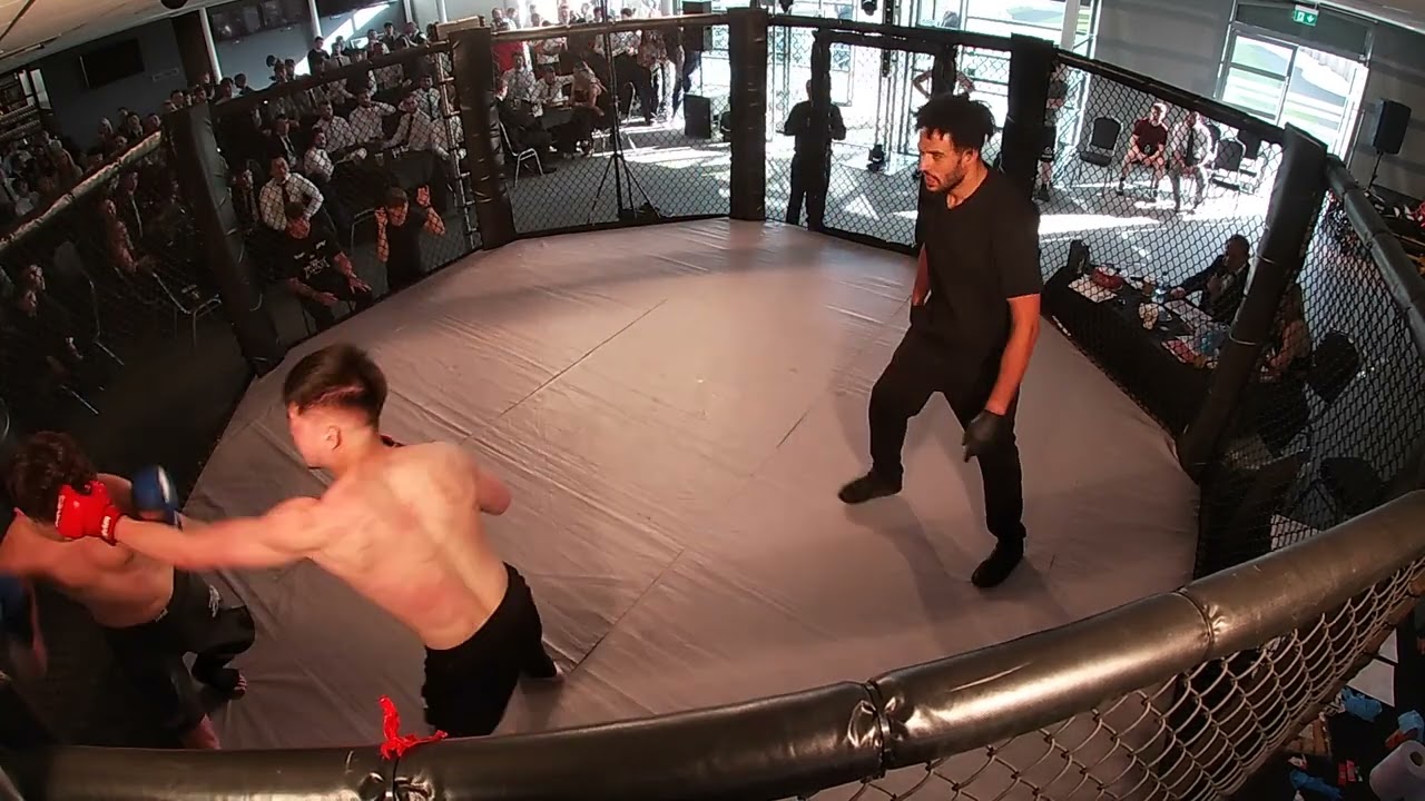 CHESTER | ULTRA MMA | JASON THE DIAMOND DIEP background