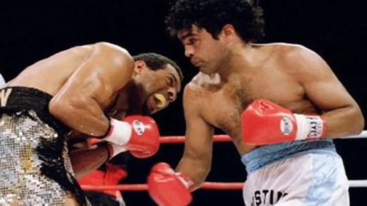 Jorge Castro - Locomotora (Highlights & Knockouts)