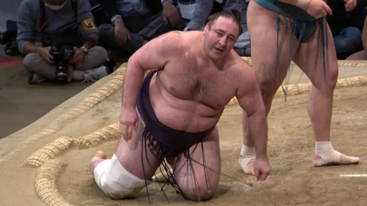 Georgian Tochinoshin: An honest assessment (Nov 2022) background