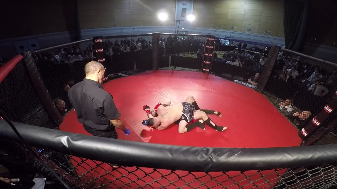 WINDSOR | ULTRA MMA | SWTEPHEN CURRIE VS LEWIS BEARD background