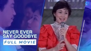 Never Ever Say Goodbye