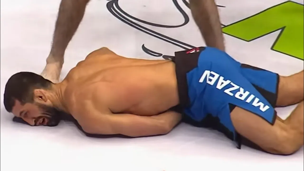 REMARKABLE KNOCKOUTS THAT WILL SATISFY YOU EYES (MMA, BOXING) backdrop