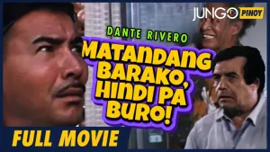 Matandang Barako, Hindi Pa Buro