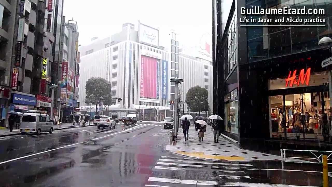 Tokyo under the snow - 29 February 2012
