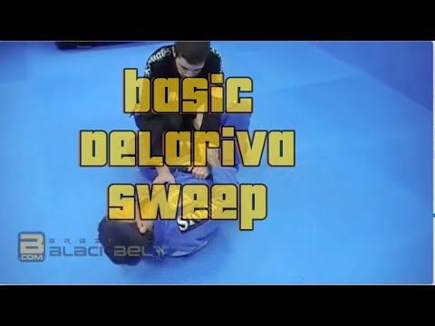 De La Riva fundamentals START HERE - Part 1 - Delariva basic sweeps background